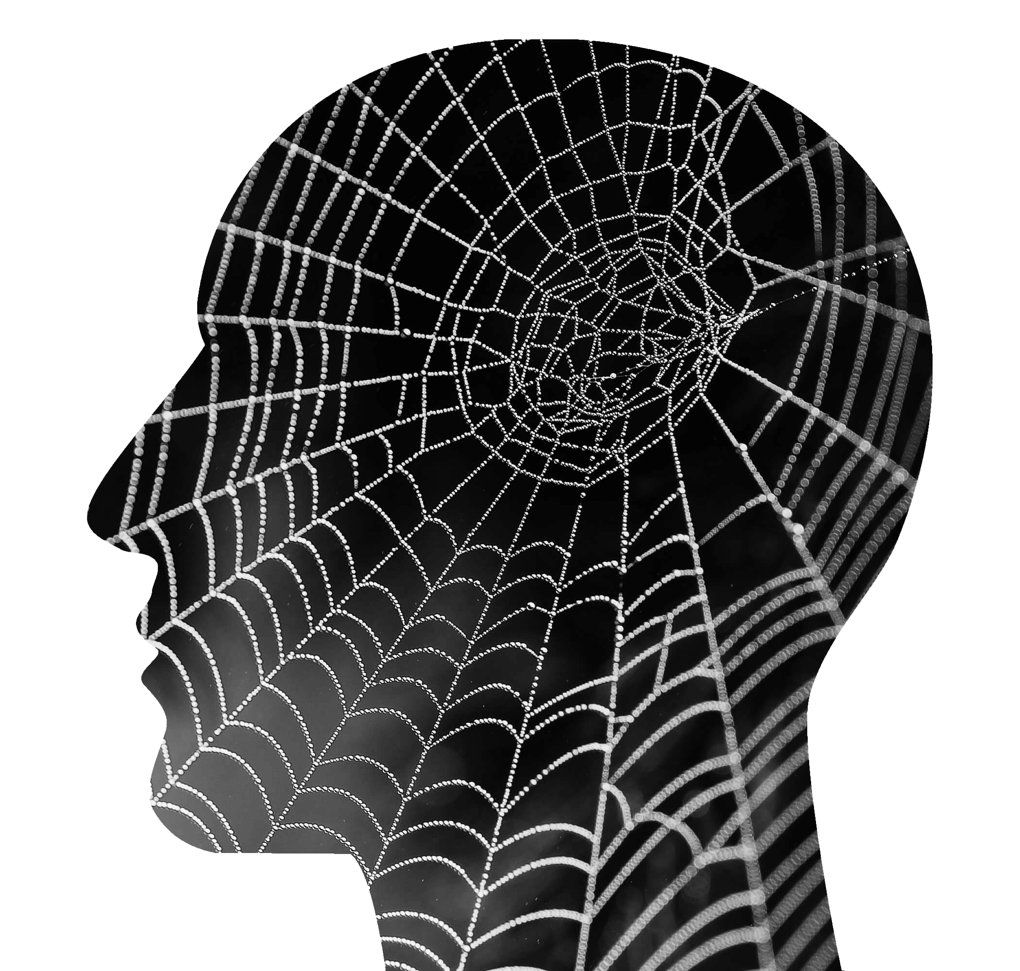human head with a spiderweb inside